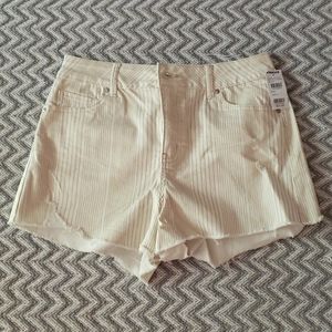 NWT Tillys Shorts